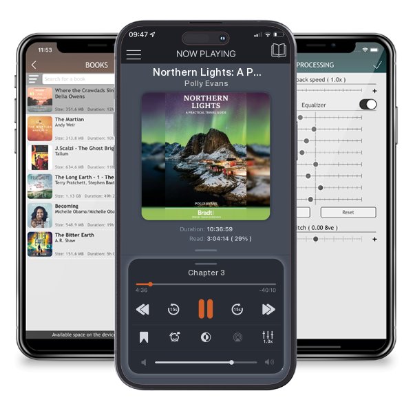 Download fo free audiobook Northern Lights: A Practical Travel Guide by Polly Evans and listen anywhere on your iOS devices in the ListenBook app.