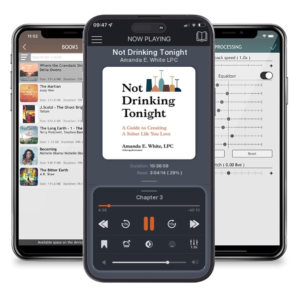 Download fo free audiobook Not Drinking Tonight by Amanda E. White LPC and listen anywhere on your iOS devices in the ListenBook app.