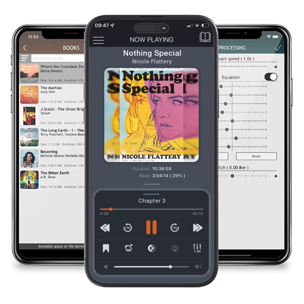 Download fo free audiobook Nothing Special by Nicole Flattery and listen anywhere on your iOS devices in the ListenBook app.