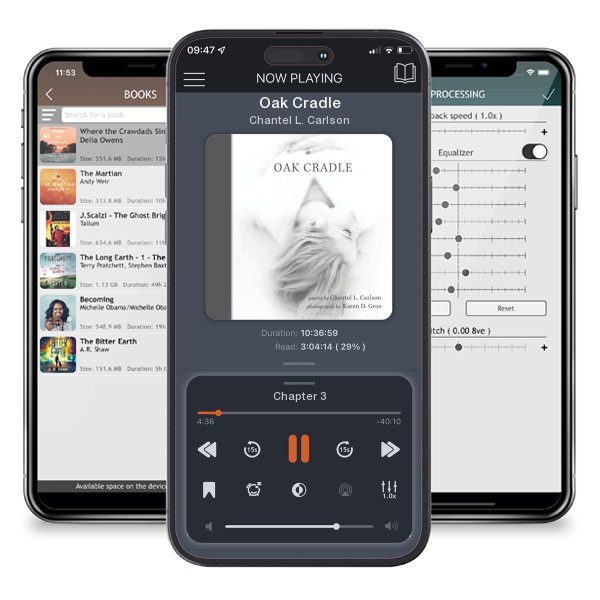 Download fo free audiobook Oak Cradle by Chantel L. Carlson and listen anywhere on your iOS devices in the ListenBook app.