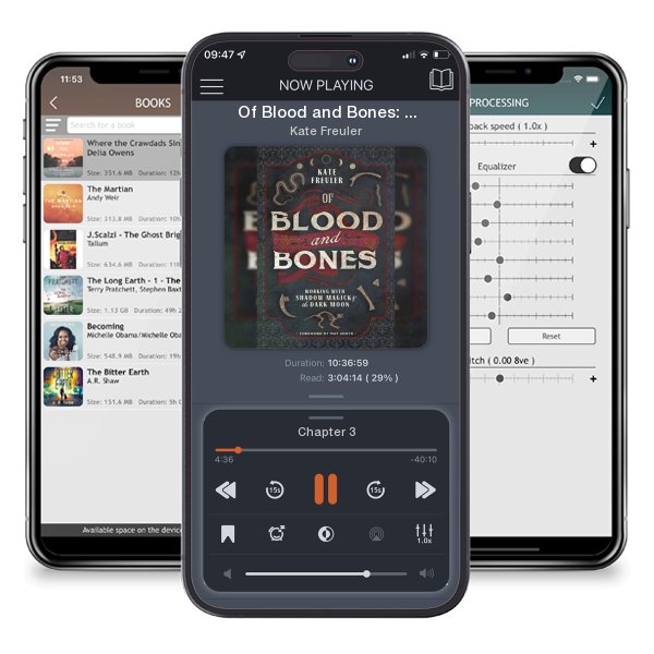 Download fo free audiobook Of Blood and Bones: Working with Shadow Magick & the Dark Moon by Kate Freuler and listen anywhere on your iOS devices in the ListenBook app.