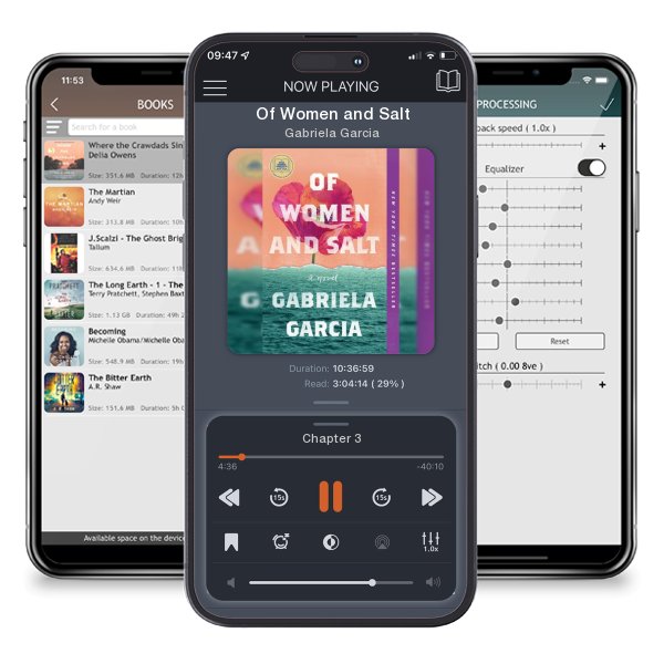 Download fo free audiobook Of Women and Salt by Gabriela Garcia and listen anywhere on your iOS devices in the ListenBook app.