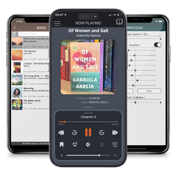 Download fo free audiobook Of Women and Salt by Gabriela Garcia and listen anywhere on your iOS devices in the ListenBook app.