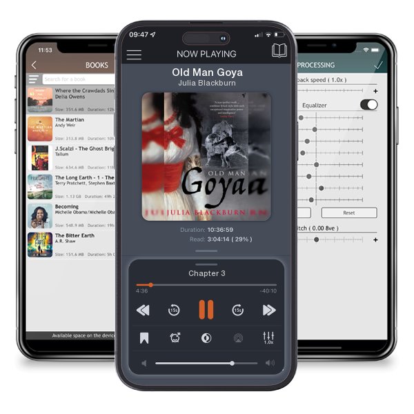Download fo free audiobook Old Man Goya by Julia Blackburn and listen anywhere on your iOS devices in the ListenBook app.