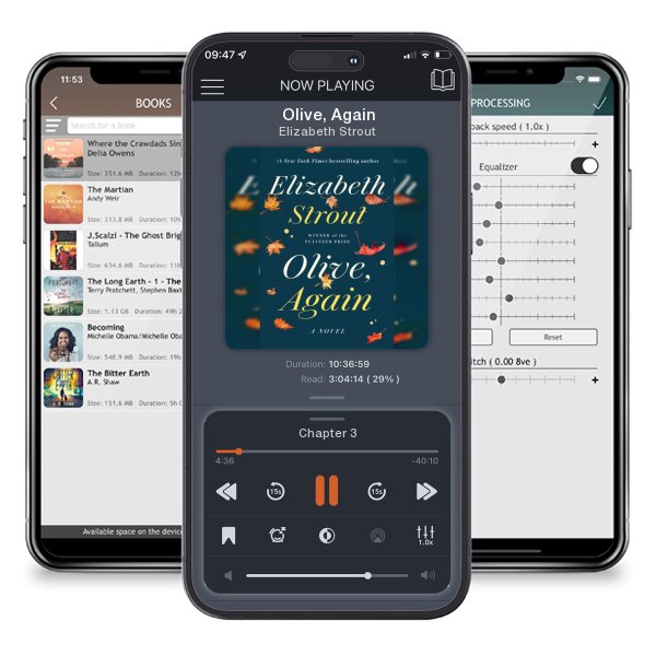 Download fo free audiobook Olive, Again by Elizabeth Strout and listen anywhere on your iOS devices in the ListenBook app.
