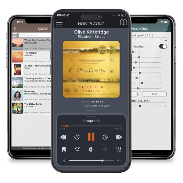 Download fo free audiobook Olive Kitteridge by Elizabeth Strout and listen anywhere on your iOS devices in the ListenBook app.