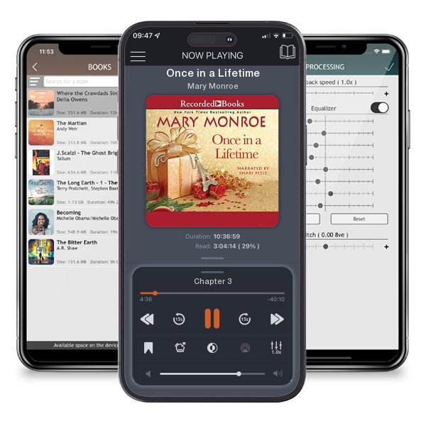 Download fo free audiobook Once in a Lifetime by Mary Monroe and listen anywhere on your iOS devices in the ListenBook app.