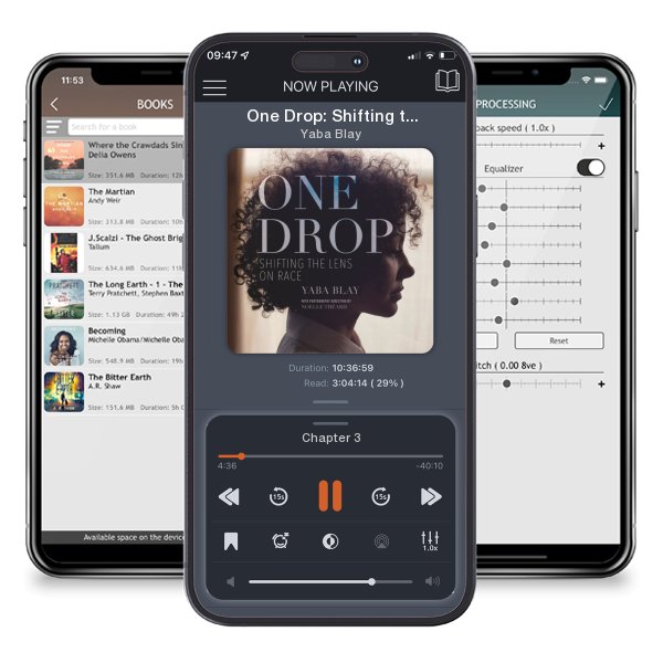 Download fo free audiobook One Drop: Shifting the Lens on Race by Yaba Blay and listen anywhere on your iOS devices in the ListenBook app.
