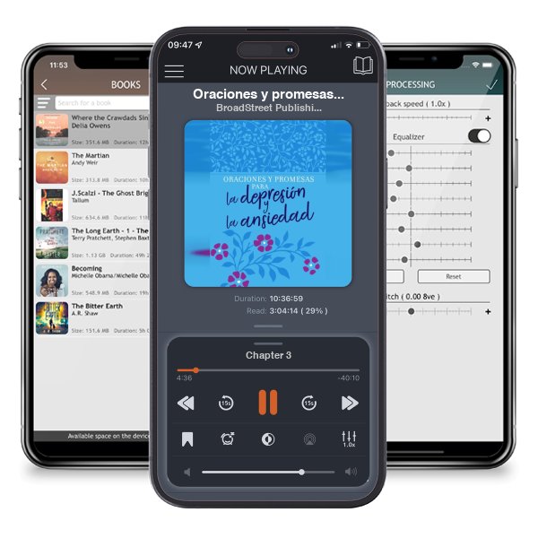 Descargar audiolibro gratis Oraciones y promesas para la depresión y la ansiedad by BroadStreet Publishing Group LLC y escuchar en cualquier lugar en sus dispositivos iOS en la aplicación ListenBook.