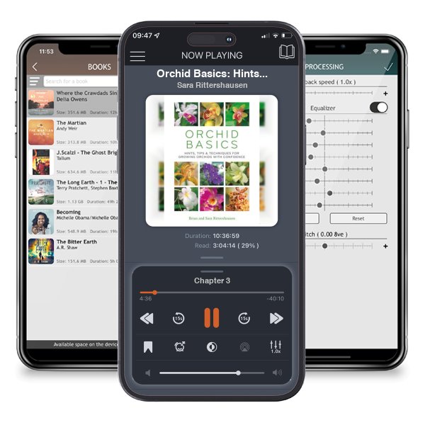 Download fo free audiobook Orchid Basics: Hints, tips & techniques to growing orchids with confidence by Sara Rittershausen and listen anywhere on your iOS devices in the ListenBook app.
