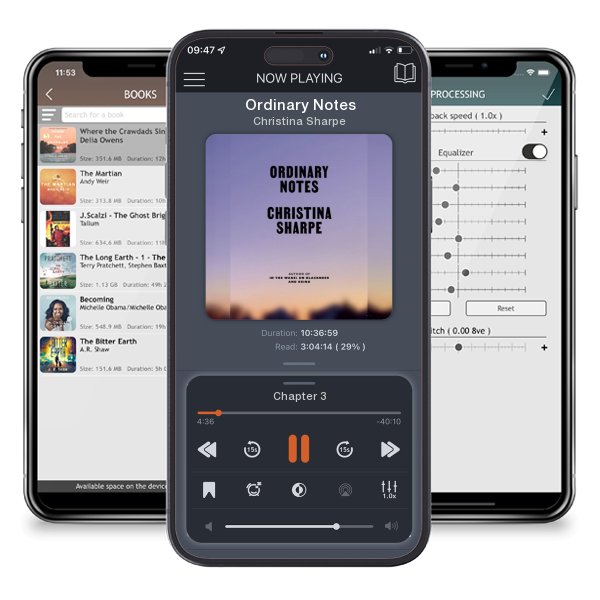 Download fo free audiobook Ordinary Notes by Christina Sharpe and listen anywhere on your iOS devices in the ListenBook app.