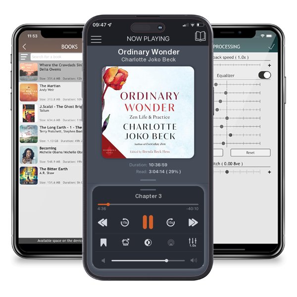 Download fo free audiobook Ordinary Wonder by Charlotte Joko Beck and listen anywhere on your iOS devices in the ListenBook app.