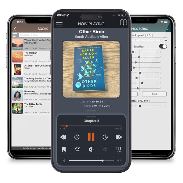 Download fo free audiobook Other Birds by Sarah Addison Allen and listen anywhere on your iOS devices in the ListenBook app.