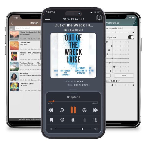 Download fo free audiobook Out of the Wreck I Rise: A Literary Companion to Recovery by Neil Steinberg and listen anywhere on your iOS devices in the ListenBook app.