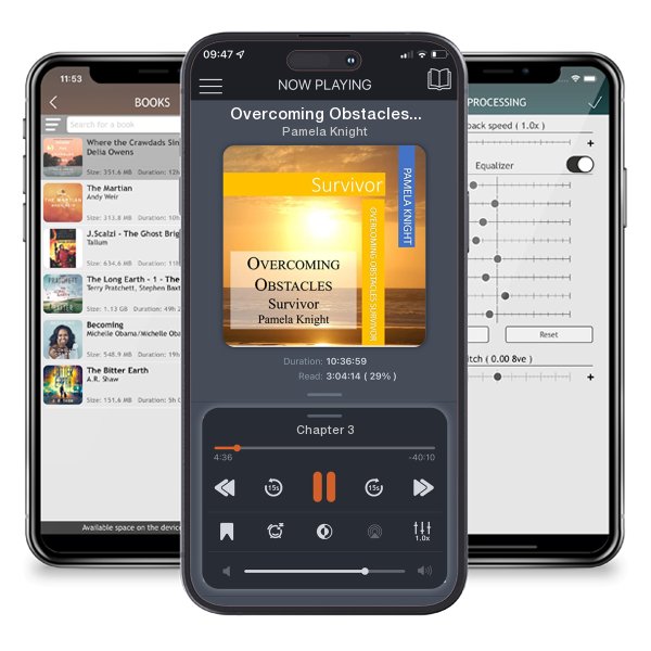 Download fo free audiobook Overcoming Obstacles Survivor: Survivor by Pamela Knight and listen anywhere on your iOS devices in the ListenBook app.
