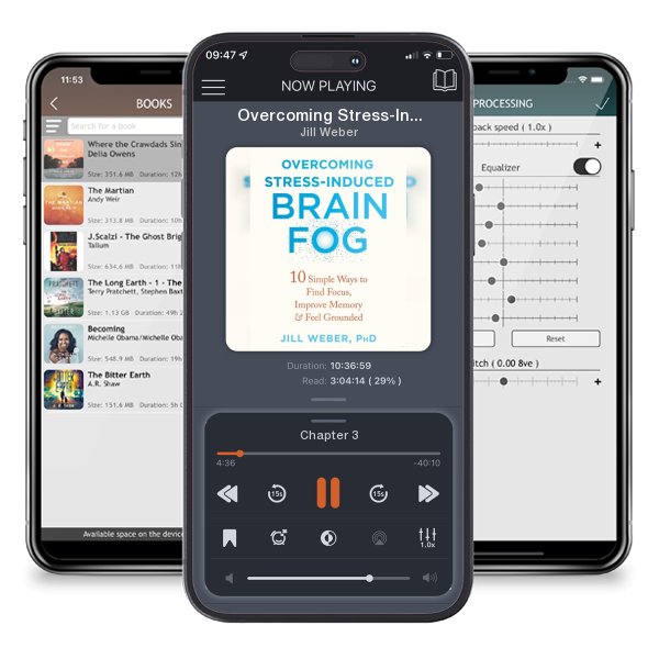 Download fo free audiobook Overcoming Stress-Induced Brain Fog: 10 Simple Ways to Find... by Jill Weber and listen anywhere on your iOS devices in the ListenBook app.