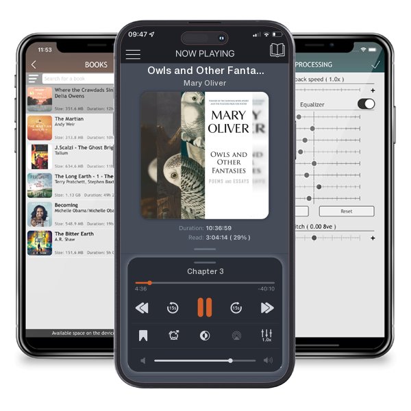 Download fo free audiobook Owls and Other Fantasies: Poems and Essays by Mary Oliver and listen anywhere on your iOS devices in the ListenBook app.