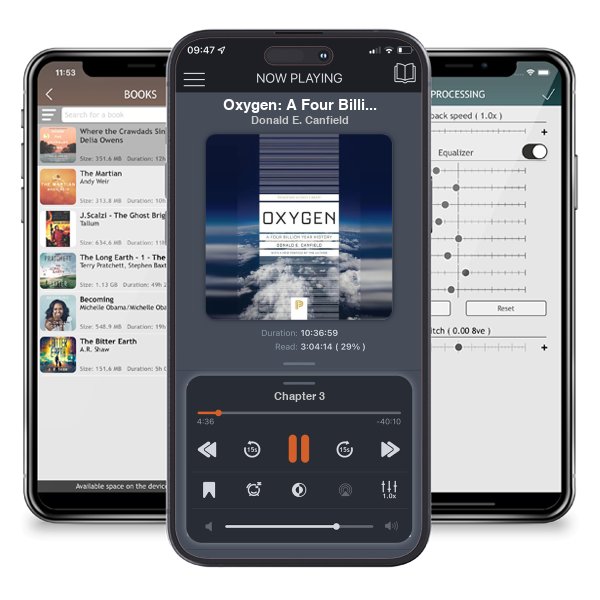 Download fo free audiobook Oxygen: A Four Billion Year History - Princeton Science Library by Donald E. Canfield and listen anywhere on your iOS devices in the ListenBook app.