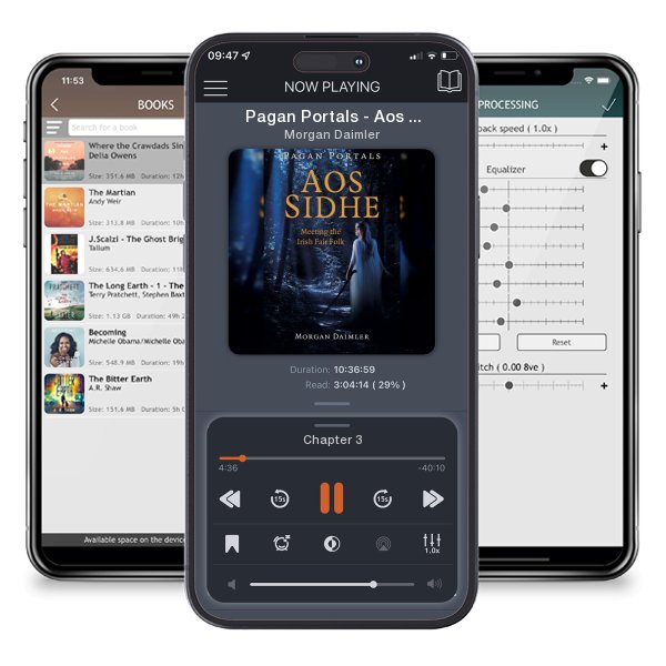 Download fo free audiobook Pagan Portals - Aos Sidhe: Meeting the Irish Fair Folk by Morgan Daimler and listen anywhere on your iOS devices in the ListenBook app.