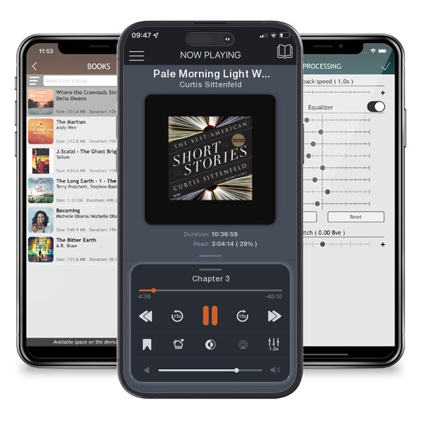 Download fo free audiobook Pale Morning Light With Violet Swan: A Novel of a Life in Art by Curtis Sittenfeld and listen anywhere on your iOS devices in the ListenBook app.