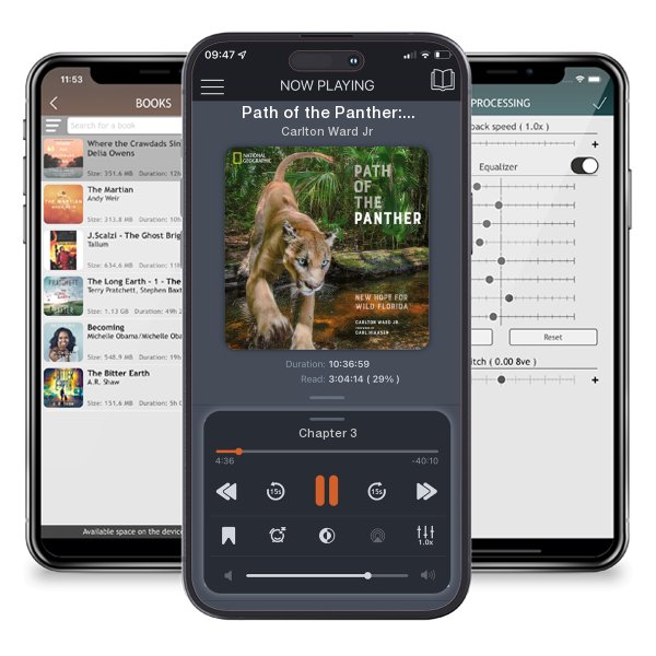 Download fo free audiobook Path of the Panther: New Hope for Wild Florida by Carlton Ward Jr and listen anywhere on your iOS devices in the ListenBook app.