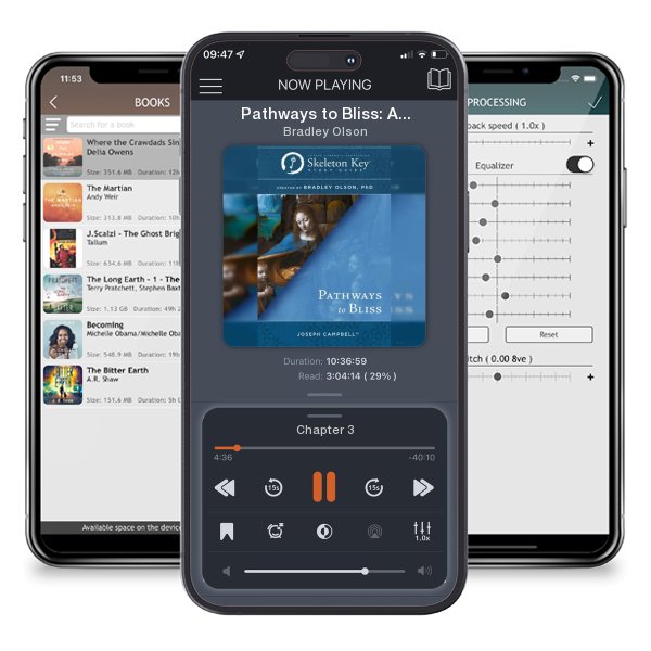 Download fo free audiobook Pathways to Bliss: A Skeleton Key Study Guide by Bradley Olson and listen anywhere on your iOS devices in the ListenBook app.