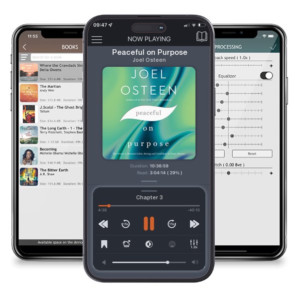 Download fo free audiobook Peaceful on Purpose by Joel Osteen and listen anywhere on your iOS devices in the ListenBook app.
