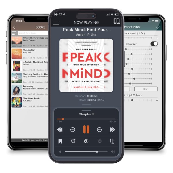 Download fo free audiobook Peak Mind: Find Your Focus, Own Your Attention, Invest 12... by Amishi P Jha and listen anywhere on your iOS devices in the ListenBook app.