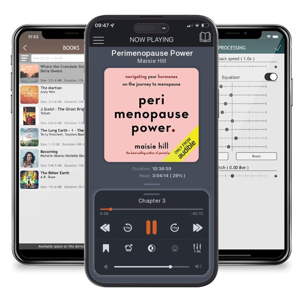 Download fo free audiobook Perimenopause Power by Maisie Hill and listen anywhere on your iOS devices in the ListenBook app.