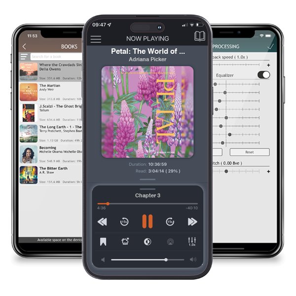 Download fo free audiobook Petal: The World of Flowers Through an Artist's Eye by Adriana Picker and listen anywhere on your iOS devices in the ListenBook app.