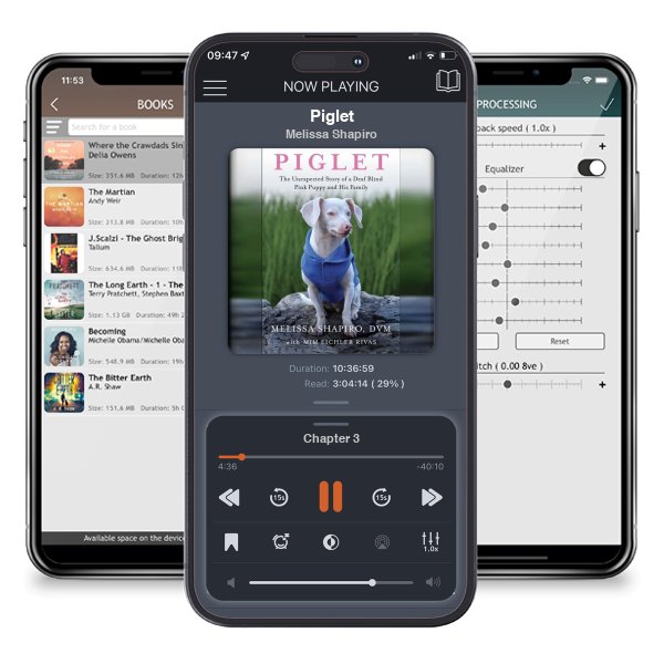 Download fo free audiobook Piglet by Melissa Shapiro and listen anywhere on your iOS devices in the ListenBook app.