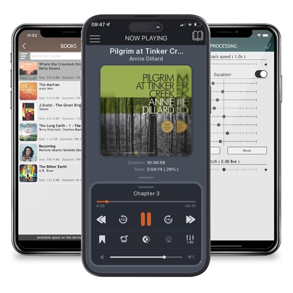 Download fo free audiobook Pilgrim at Tinker Creek by Annie Dillard and listen anywhere on your iOS devices in the ListenBook app.
