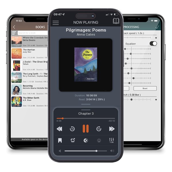 Download fo free audiobook Pilgrimages: Poems by Anna Cates and listen anywhere on your iOS devices in the ListenBook app.