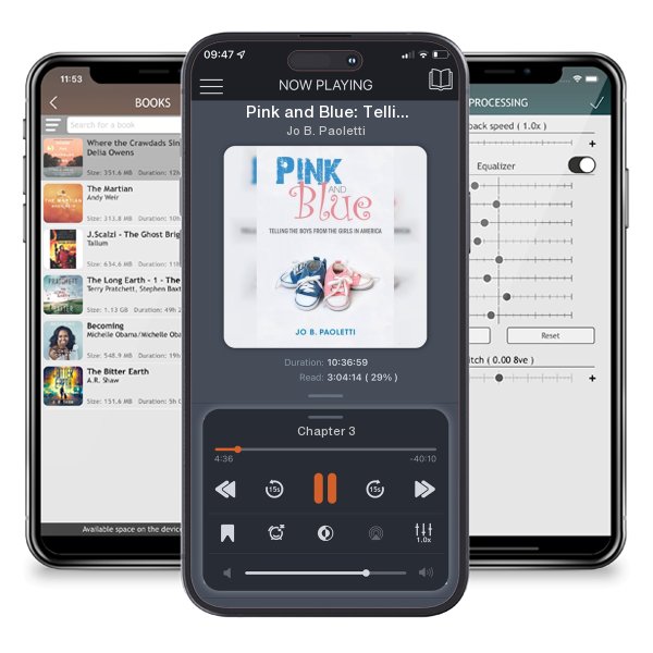 Download fo free audiobook Pink and Blue: Telling the Boys from the Girls in America by Jo B. Paoletti and listen anywhere on your iOS devices in the ListenBook app.