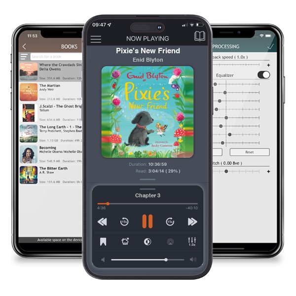 Download fo free audiobook Pixie\'s New Friend by Enid Blyton and listen anywhere on your iOS devices in the ListenBook app.