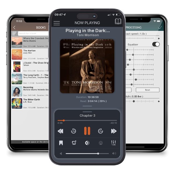 Download fo free audiobook Playing in the Dark: Whiteness and the Literary Imagination by Toni Morrison and listen anywhere on your iOS devices in the ListenBook app.