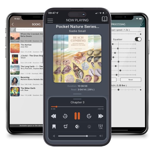 Download fo free audiobook Pocket Nature Series: Beachcombing: Cultivate Mindful Moments... by Sadie Small and listen anywhere on your iOS devices in the ListenBook app.