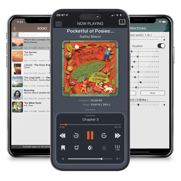 Download fo free audiobook Pocketful of Posies: A Treasury of Nursery Rhymes by Salley Mavor and listen anywhere on your iOS devices in the ListenBook app.