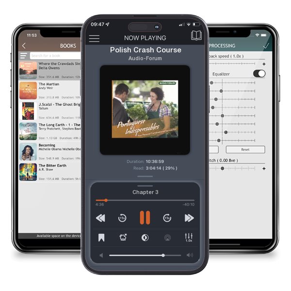 Download fo free audiobook Polish Crash Course by Audio-Forum and listen anywhere on your iOS devices in the ListenBook app.