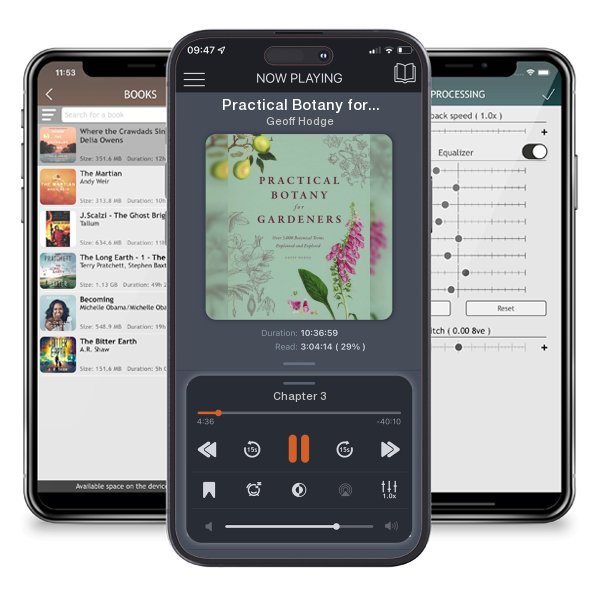 Download fo free audiobook Practical Botany for Gardeners: Over 3,000 Botanical Terms... by Geoff Hodge and listen anywhere on your iOS devices in the ListenBook app.