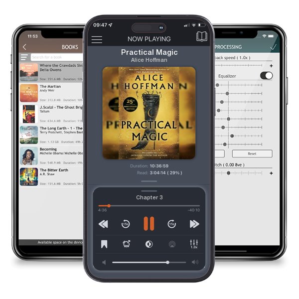 Download fo free audiobook Practical Magic by Alice Hoffman and listen anywhere on your iOS devices in the ListenBook app.