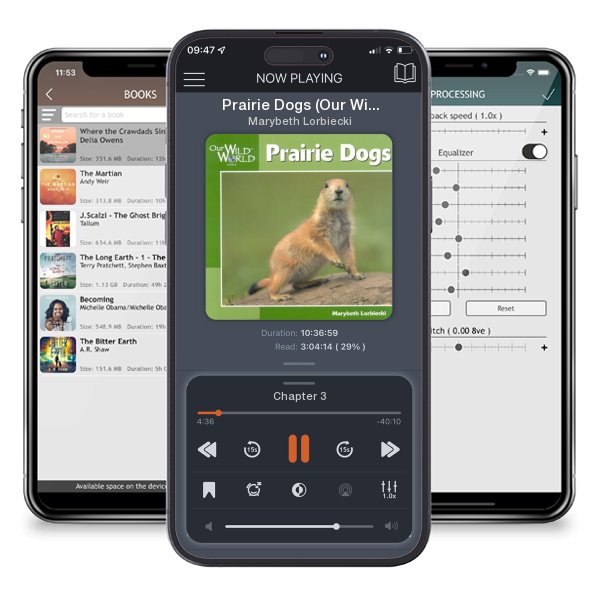 Download fo free audiobook Prairie Dogs (Our Wild World) by Marybeth Lorbiecki and listen anywhere on your iOS devices in the ListenBook app.
