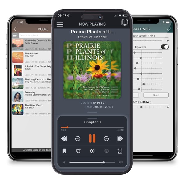 Download fo free audiobook Prairie Plants of Illinois: A Field Guide to the Wildflowers... by Steve W. Chadde and listen anywhere on your iOS devices in the ListenBook app.