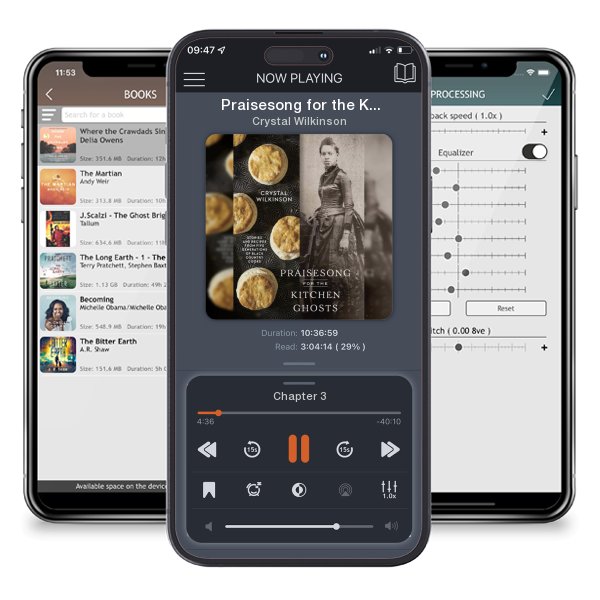 Download fo free audiobook Praisesong for the Kitchen Ghosts: Stories and Recipes from... by Crystal Wilkinson and listen anywhere on your iOS devices in the ListenBook app.