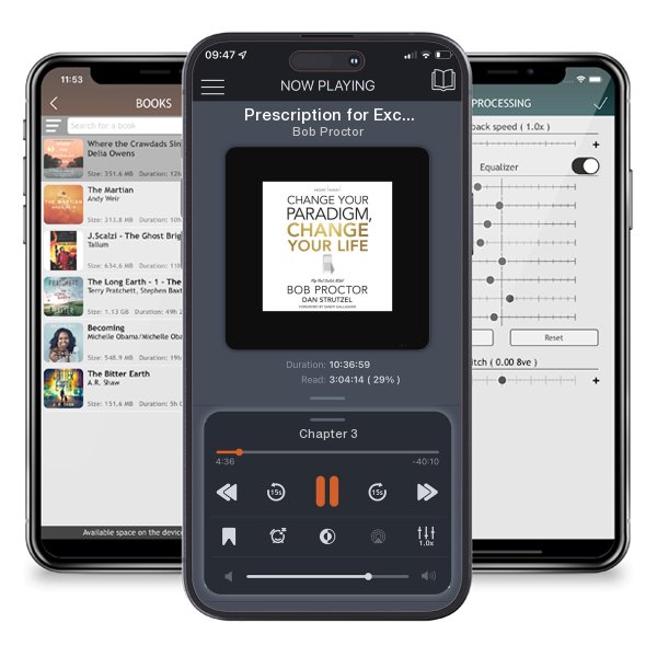 Download fo free audiobook Prescription for Excellence: Leadership Lessons for Creating a World Class Customer Experience from UCLA Health System by Bob Proctor and listen anywhere on your iOS devices in the ListenBook app.