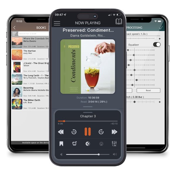 Download fo free audiobook Preserved: Condiments by Darra Goldstein, Richard Martin, et al. and listen anywhere on your iOS devices in the ListenBook app.