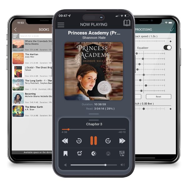 Download fo free audiobook Princess Academy (Princess Academy, #1) by Shannon Hale and listen anywhere on your iOS devices in the ListenBook app.