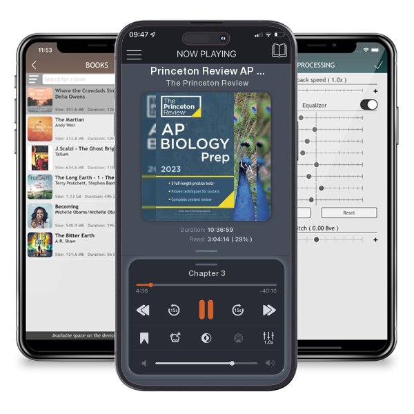 Download fo free audiobook Princeton Review AP Biology Prep, 2023: 3 Practice Tests +... by The Princeton Review and listen anywhere on your iOS devices in the ListenBook app.