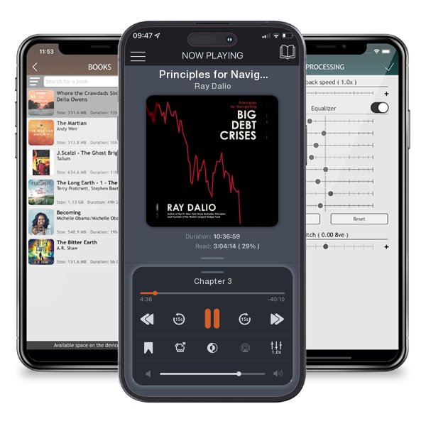 Download fo free audiobook Principles for Navigating Big Debt Crises by Ray Dalio and listen anywhere on your iOS devices in the ListenBook app.
