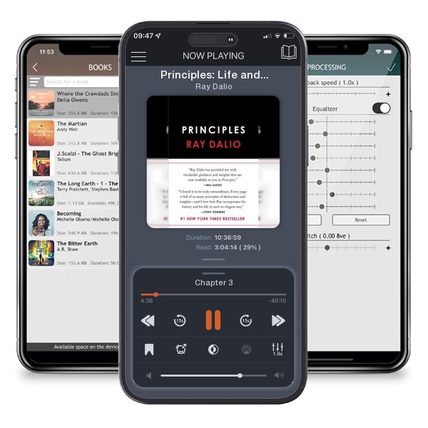 Download fo free audiobook Principles: Life and Work by Ray Dalio and listen anywhere on your iOS devices in the ListenBook app.